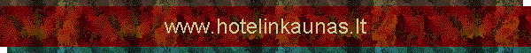 www.hotelinkaunas.lt